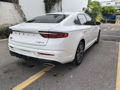 Geely Xingui Xingrui 2.0T Diesel Luxury - photo 7
