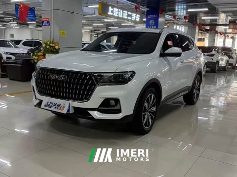 2023 Haval H6 National Trend Edition 1.5T Automatic Champion Version - ავტომობილი ჩინეთიდან