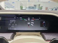 Denza BYD Denza Z9 2024 1100km Range AWD Max - ფოტო 10