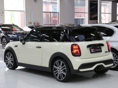 BMW MINI 2.0T COOPER S Artist - ფოტო 20