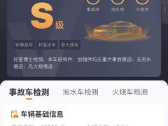 BYD Song Plus New Energy 2021 DM-i 51KM Premium Edition - ფოტო 13