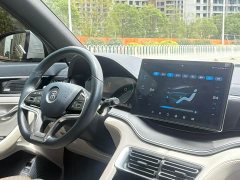BYD Song Plus New Energy 2021 DM-i 51KM Premium Edition - ფოტო 8