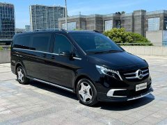 Mercedes-Benz V-Class (Imported) 2022 2.0T Automatic - ფოტო 2