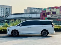 Buick GL8 Luxe Smart Comfort Edition - ფოტო 5