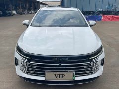 BYD Destroyer 05 DM-i 55KM Luxury - ფოტო 2