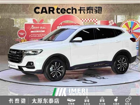2022 Haval H6 2021 National Trend Edition 1.5T Automatic Urban Version - ავტომობილი ჩინეთიდან