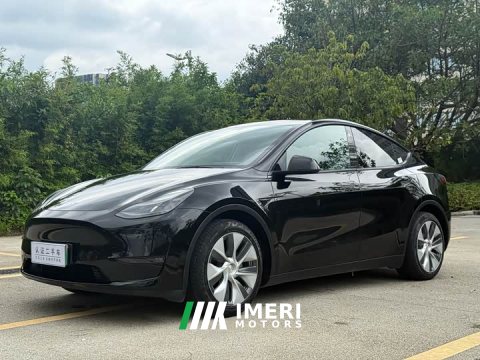 2021 Tesla Model Y Standard Range RWD - ავტომობილი ჩინეთიდან