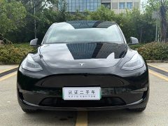 Tesla Model Y Standard Range RWD - ფოტო 2