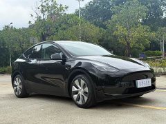 Tesla Model Y Standard Range RWD - ფოტო 3
