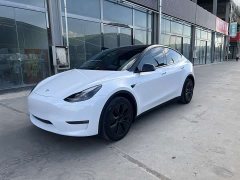 Tesla Model Y Long Range All-Wheel Drive - ფოტო 1