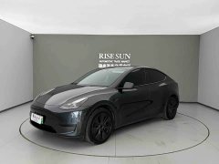 Tesla Model Y Rear-Wheel Drive - ფოტო 1