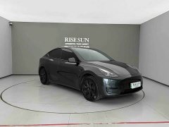Tesla Model Y Rear-Wheel Drive - ფოტო 3
