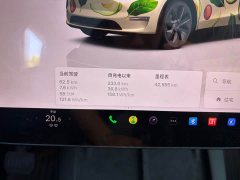 Tesla Model Y Rear-Wheel Drive - ფოტო 9