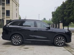 BYD Fengyun T9 120 Long Range Luxury 5-Seater Ternary Lithium - ფოტო 7