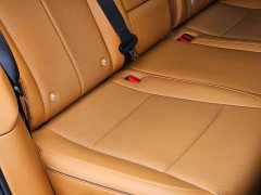 Li Auto i6 Two-Wheel Drive Standard - ფოტო 16