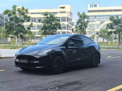 Tesla Model Y Rear-Wheel Drive - ფოტო 1