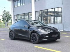Tesla Model Y Rear-Wheel Drive - ფოტო 3