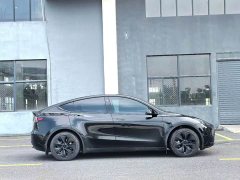 Tesla Model Y Rear-Wheel Drive - ფოტო 9