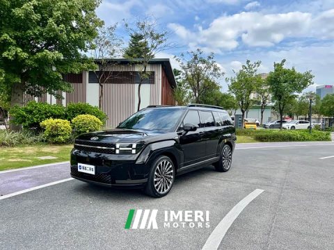 2024 Hyundai Santa Fe 2.0T Connoisseur Pro Max - ავტომობილი ჩინეთიდან