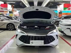 BYD Song L DM-i 160km Exceed - ფოტო 10