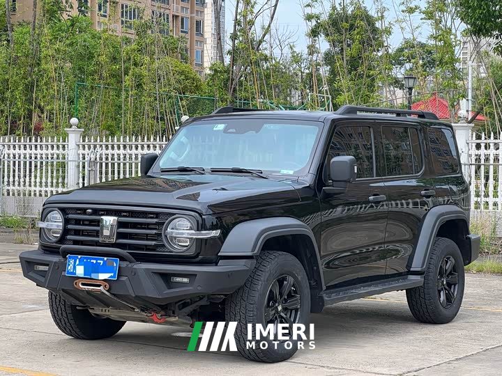 Tank 300 2021 Off-Road Edition 2.0T Conqueror - ავტომობილი ჩინეთიდან