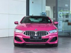 BMW 8 Series 840i Coupe M Sport Package - ფოტო 17
