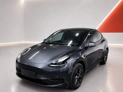Tesla Model Y Rear-Wheel Drive - ფოტო 1