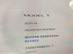 Tesla Model Y Rear-Wheel Drive - ფოტო 10