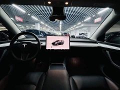 Tesla Model Y Rear-Wheel Drive - ფოტო 8