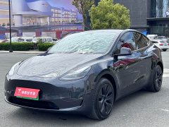 Tesla Model Y Long Range All-Wheel Drive - ფოტო 1