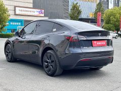 Tesla Model Y Long Range All-Wheel Drive - ფოტო 11