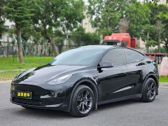 Tesla Model Y 2023 Rear-Wheel Drive - ფოტო 1