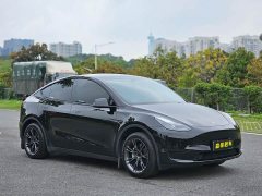 Tesla Model Y 2023 Rear-Wheel Drive - ფოტო 3