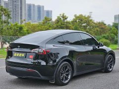 Tesla Model Y 2023 Rear-Wheel Drive - ფოტო 8
