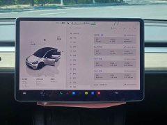 Tesla Model Y 2022 Facelift Rear-Wheel Drive - ფოტო 15