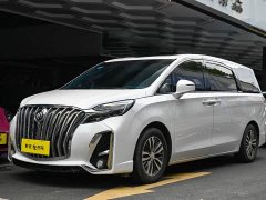 Buick GL8 2020 ES LuZun 653T Respect Edition - ფოტო 1