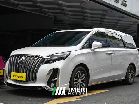 2021 Buick GL8 ES LuZun 653T Respect Edition