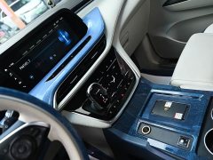 Buick GL8 2020 ES LuZun 653T Respect Edition - ფოტო 10