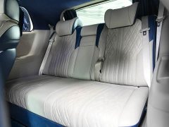 Buick GL8 2020 ES LuZun 653T Respect Edition - ფოტო 14