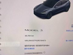 Tesla Model 3 2023 Rear-Wheel Drive - ფოტო 10