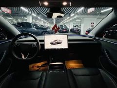 Tesla Model 3 2023 Rear-Wheel Drive - ფოტო 8