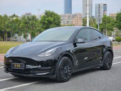 Tesla Model Y Standard Range RWD - ფოტო 1
