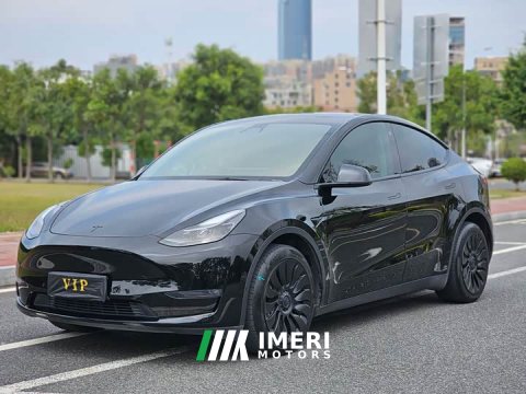 2021 Tesla Model Y Standard Range RWD - ავტომობილი ჩინეთიდან