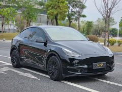 Tesla Model Y Standard Range RWD - ფოტო 2
