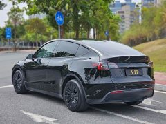 Tesla Model Y Standard Range RWD - ფოტო 4