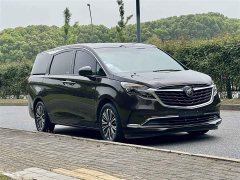 Buick GL8 ES Land Respect 653T Respect Enjoyment Edition - ფოტო 3