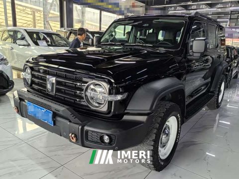 2022 Tank 300 2021 Off-Road Edition 2.0T Conqueror - ავტომობილი ჩინეთიდან
