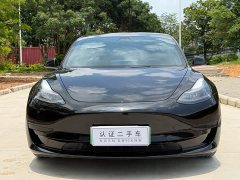 Tesla Model 3 Standard Range RWD Upgrade - ფოტო 2