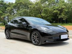 Tesla Model 3 Standard Range RWD Upgrade - ფოტო 3