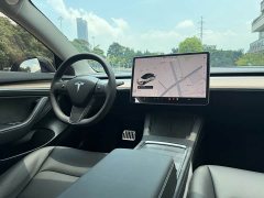 Tesla Model 3 Standard Range RWD Upgrade - ფოტო 8
